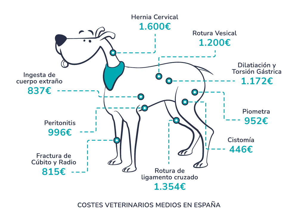 Veterinary costs