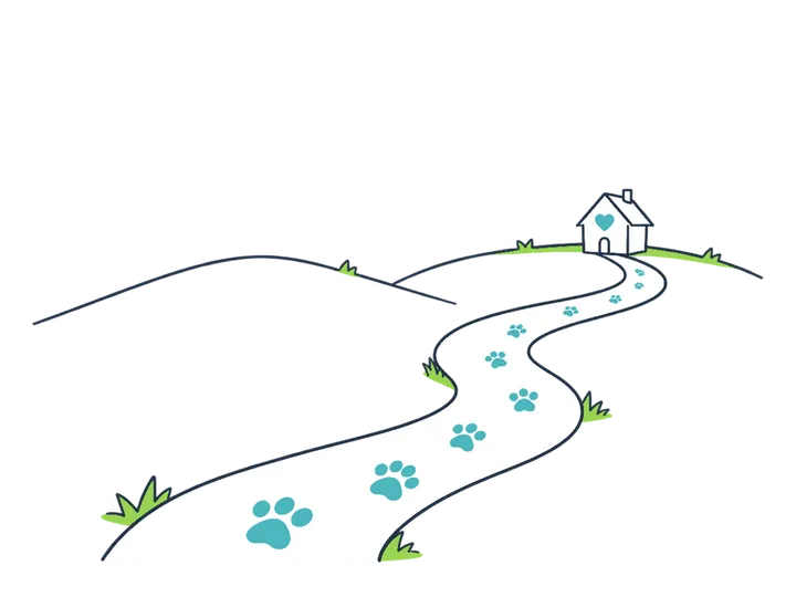 A trail of paw prints winding between hills.