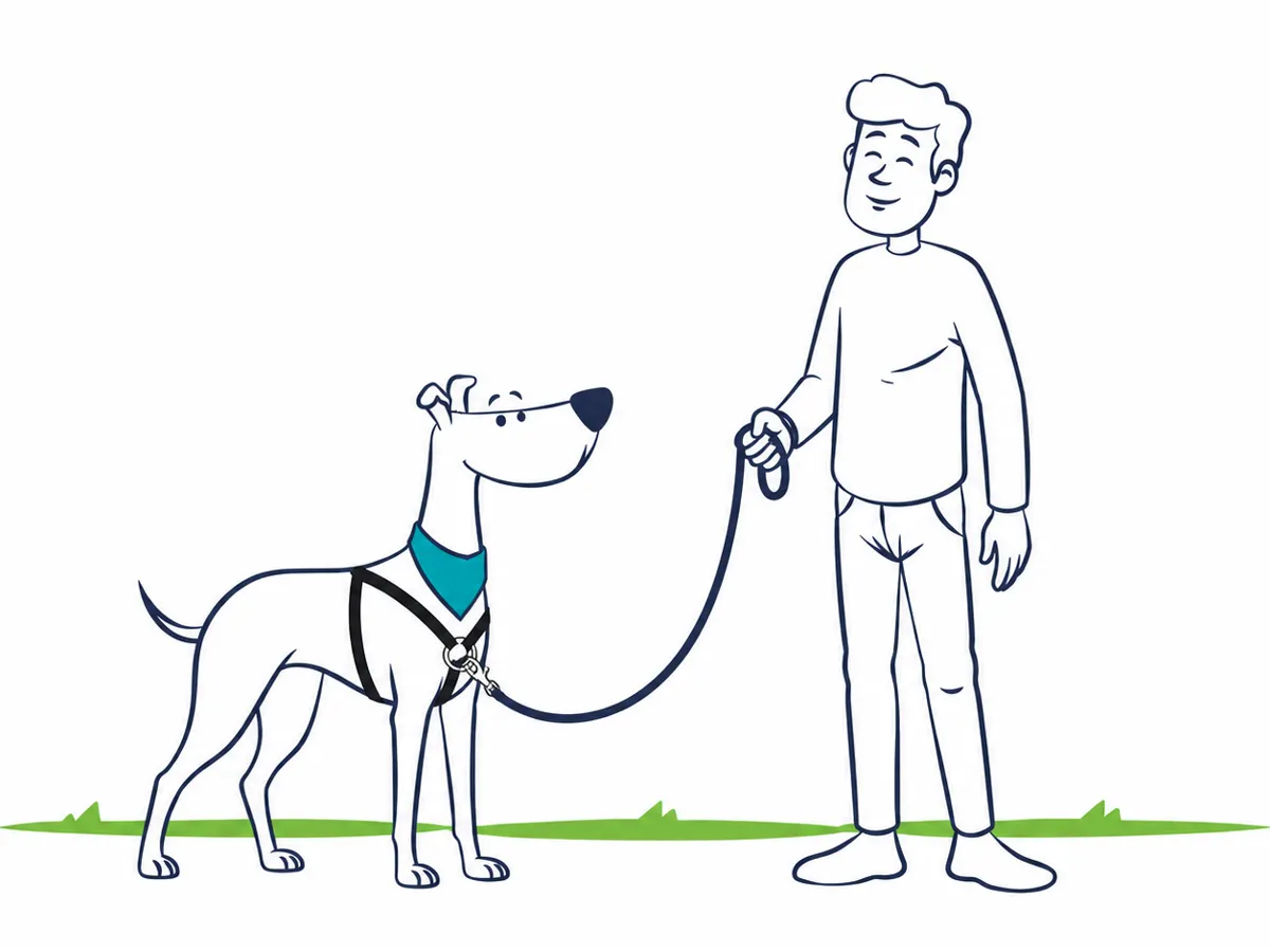 Mi perro tira de la correa: cómo enseñarle a pasear