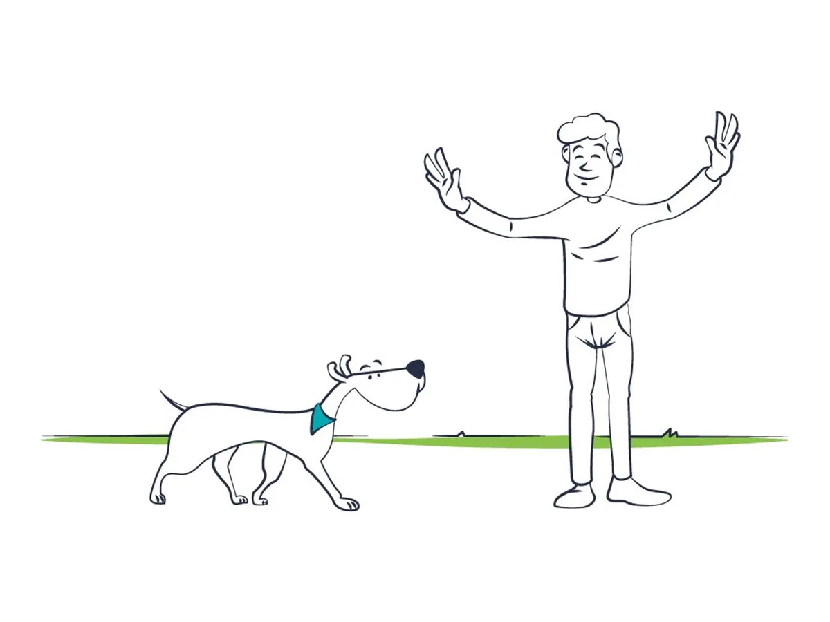 Frases sobre perros: refranes, dichos y citas con su origen