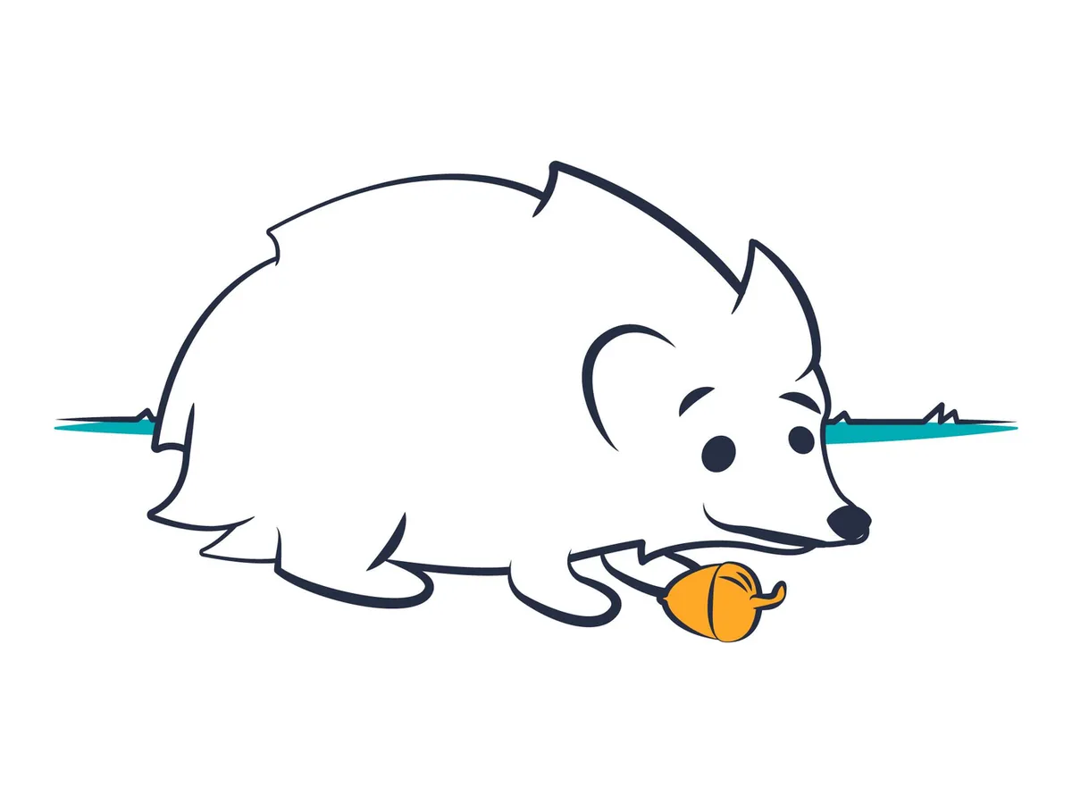African pygmy hedgehog: care, health and the law in Spain
