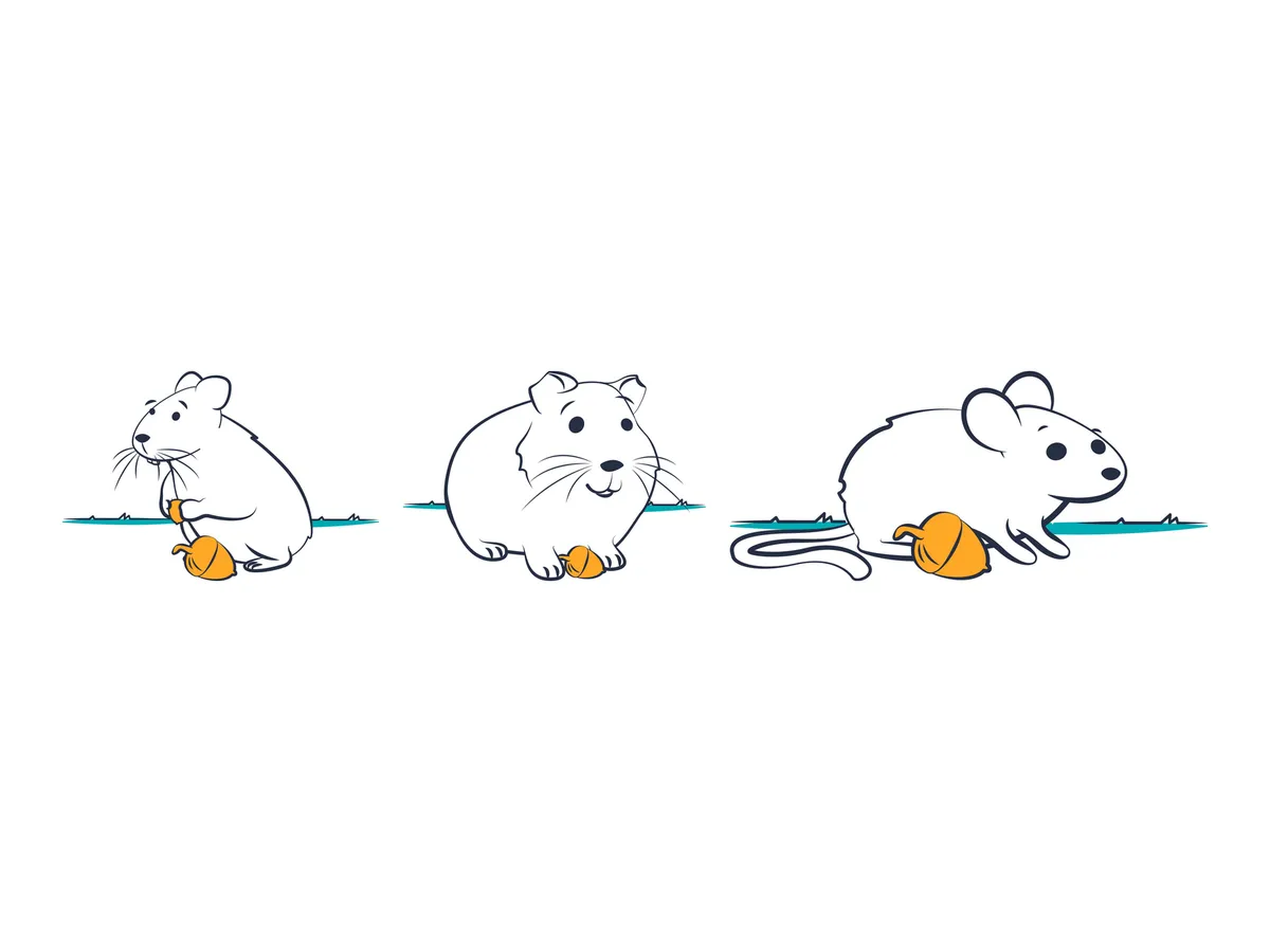 Best rodent pets for kids: how to choose and what to know