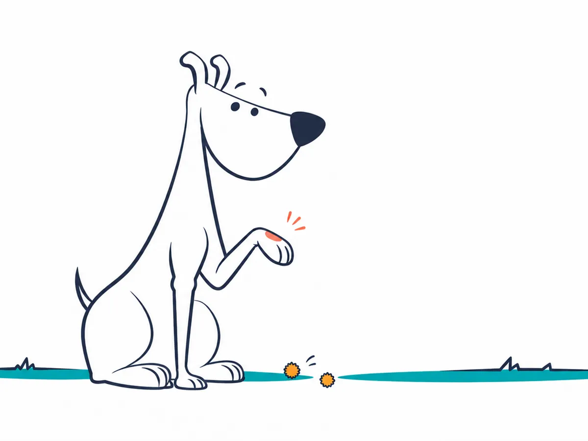 Mi perro se lame las patas: causas y cuándo preocuparse