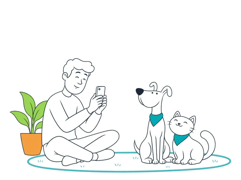 Una persona hace fotos a su perro y su gato para publicar su anuncio de adopción