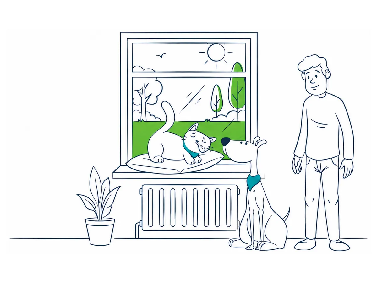 Estrés en gatos: señales claras y cómo ayudarlos en casa