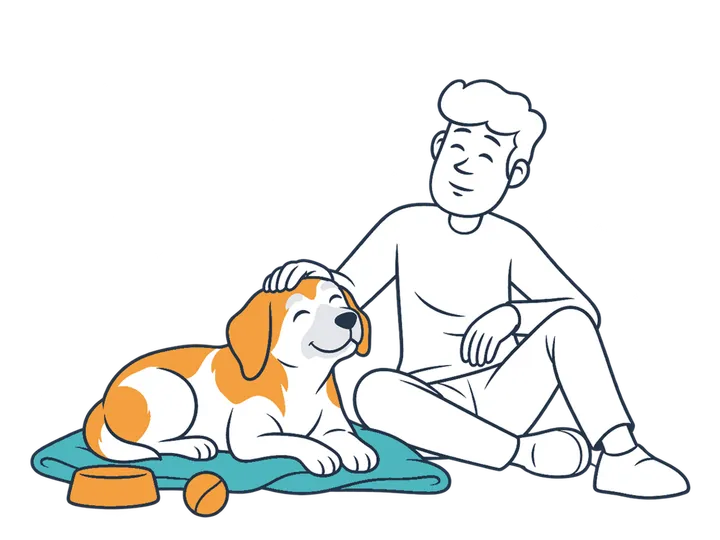 A person stroking an older dog resting happily on a blanket.
