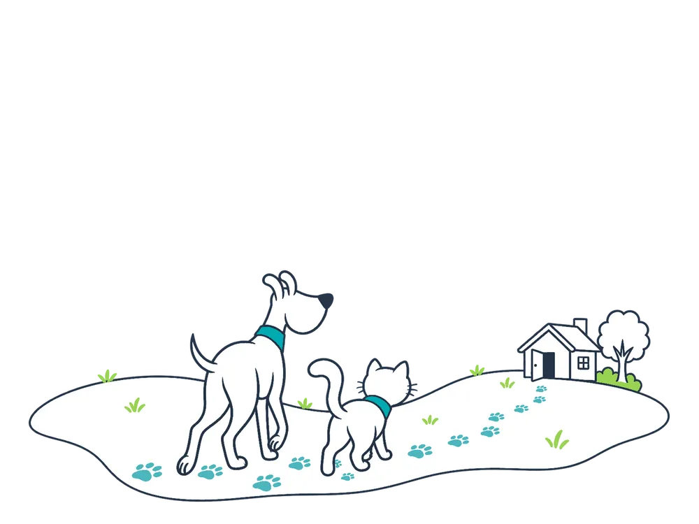 A Miwuki dog and cat walking together along a trail of paw prints towards a house.
