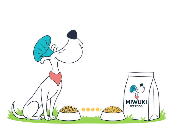 The Miwuki Pet Food mascot in front of two bowls to switch food gradually