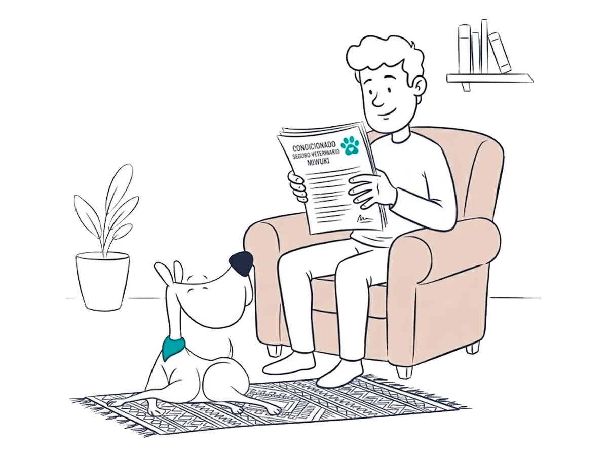 Reading Miwuki insurance policy conditions