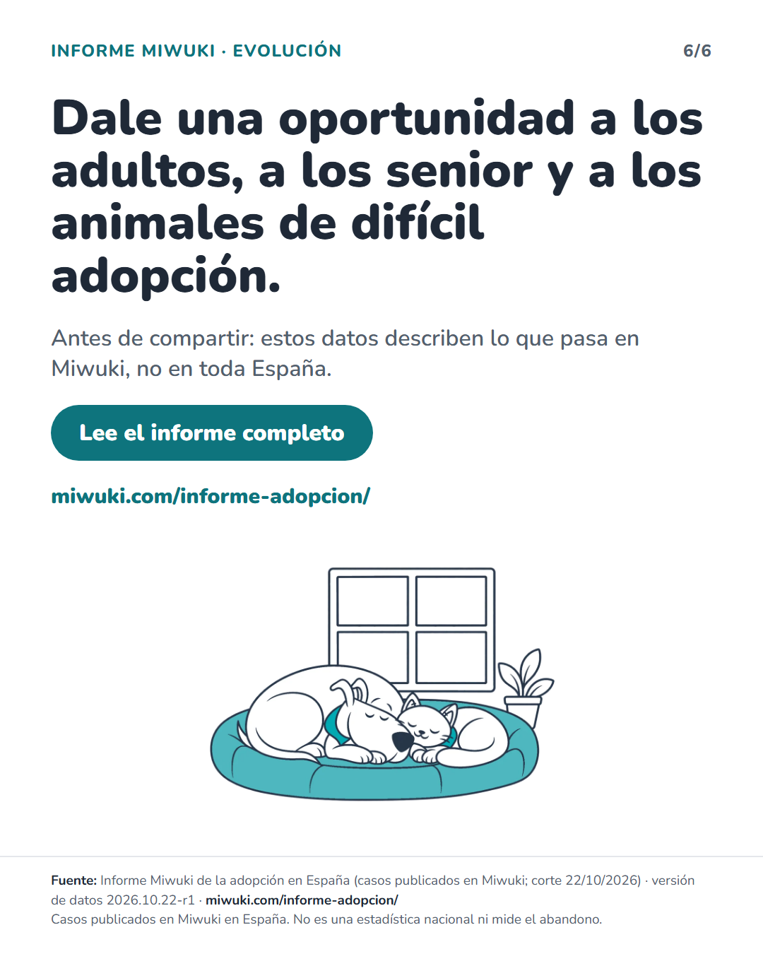 Lámina 6